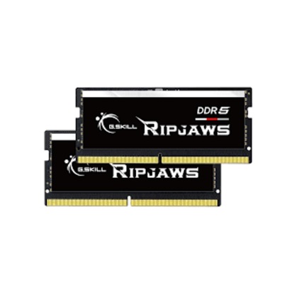 G.Skill Ripjaws DDR5 32GB RAM με 2x16GB Modules και Ταχύτητα 4800 για Laptop (F5-4800S4039A16GX2-RS)-GSKF5-4800S4039A16GX2-RS