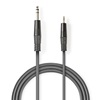 Nedis Cable 6.3mm male - 3.5mm male 3m (COTH23205GY30) (NEDCOTH23205GY30)-NEDCOTH23205GY30