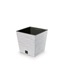 Prosperplast Furu Square Low ECO Wood Flowerpot 235Χ240 White (DFS240W-S449W) (PSPDFS240W-S449W)-PSPDFS240W-S449W