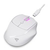 Sharkoon OfficePal M25W White (OFFPALM25WWH) (SHROFFPALM25WWH)-SHROFFPALM25WWH