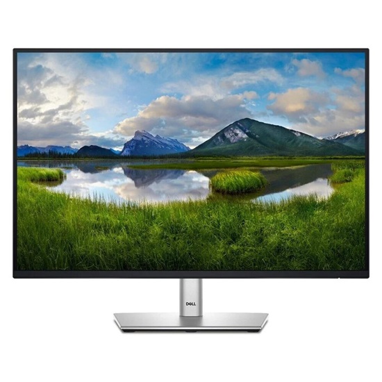 DELL P2425 IPS FHD+ 100Hz Monitor 24" (210-BMJD) (DELP2425)-DELP2425